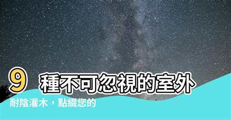 室外耐陰灌木 面相 運勢